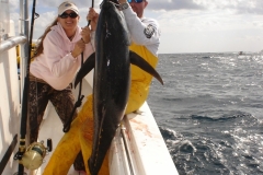 YellowFinTunaFishingJan_2006