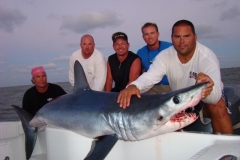 mako2008