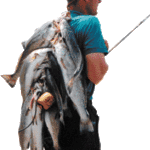 Port O'Connor Texas Saltwater Fishing Guide