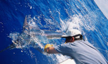 Port O'Connor Offshore Fishing Guide